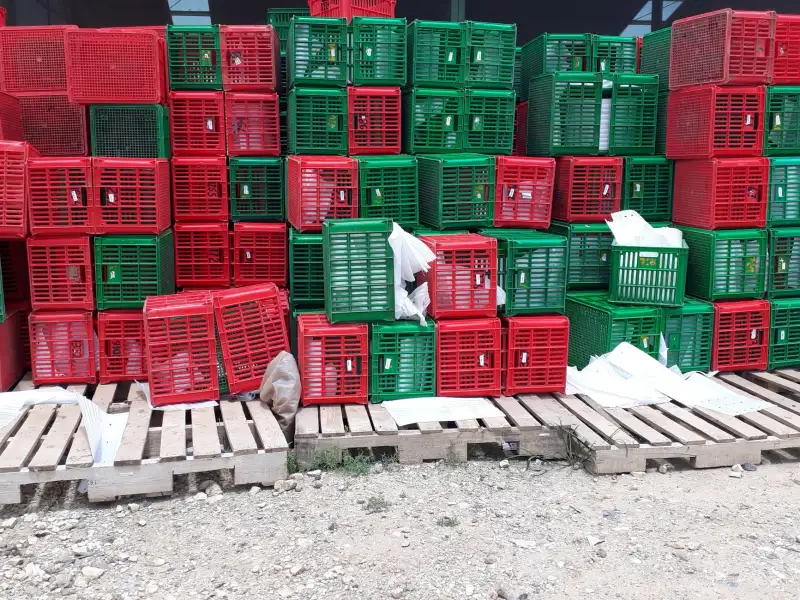 贸易服务中家居用品选品策略与质量管控体系分析