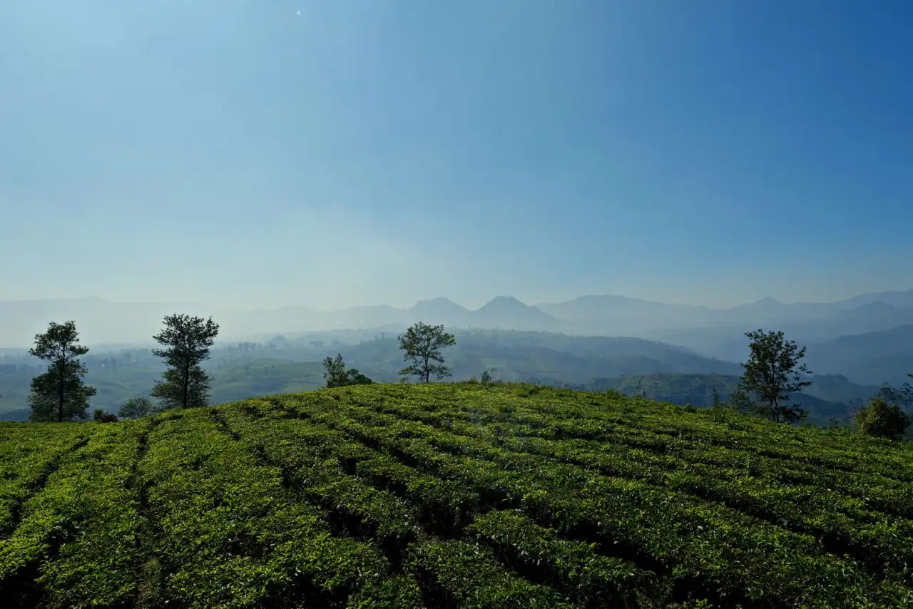 家居用品质量管控要点与贸易服务流程规范