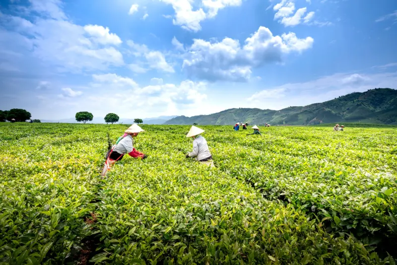 智林贸易家居用品系列选购指南：从材质到工艺的实用对比